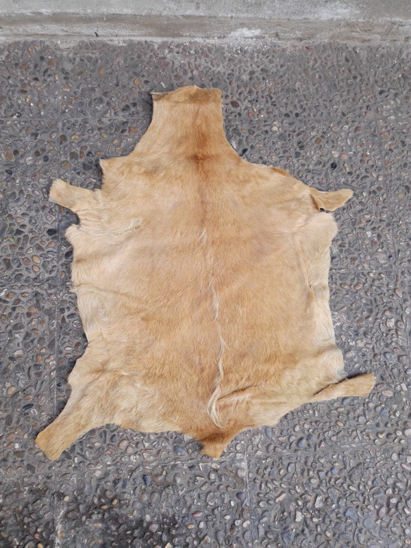 piel animales 57x40 3u 80x46 61x48 80x50 90x74 110x85 113x100